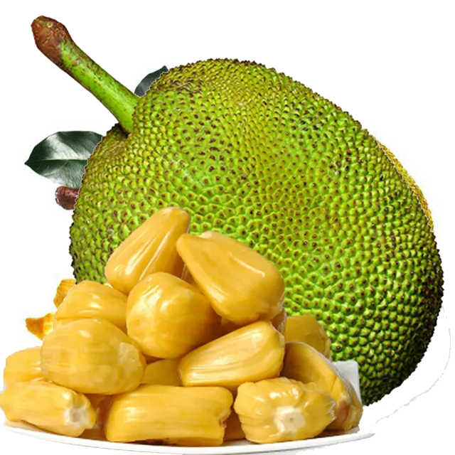 Vietnamese Jackfruit Fresh Harvest Sweet Flavor Big Size Premium Grade Healthy Exotic Fruit