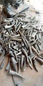 Cuerno de búfalo Cuernos para beber Cuerno para beber vikingo natural con soporte de Cuero al costo más bajo - Product Image 5