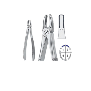 High Performance Multi Purpose Usage Dental <b>Tooth</b> Extraction Forceps Reasonable Price Stainless Steel Surgical Pliers For Oral - Product Image 1