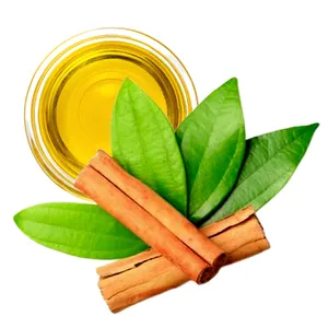 Leaf Extracted Aromatherapy Essential Oil 100% Pure Cinnamon Massage Oil with Free 10 and 15 ML Free Samples