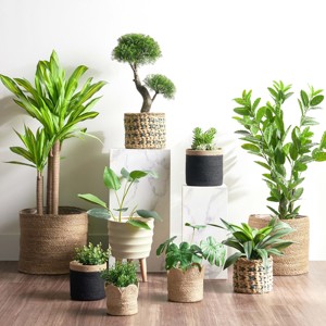 Maceta de corcho para escritorio, balcón y alféizar de ventana - Product Image 1