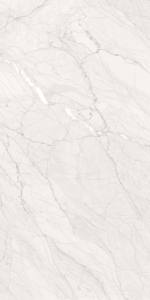 กระเบื้องโฟมพอร์ซเลนที่มีคุณภาพระดับพรีเมี่ยม600X1200mm สำหรับการออกจากพื้นที่ - Product Image 3