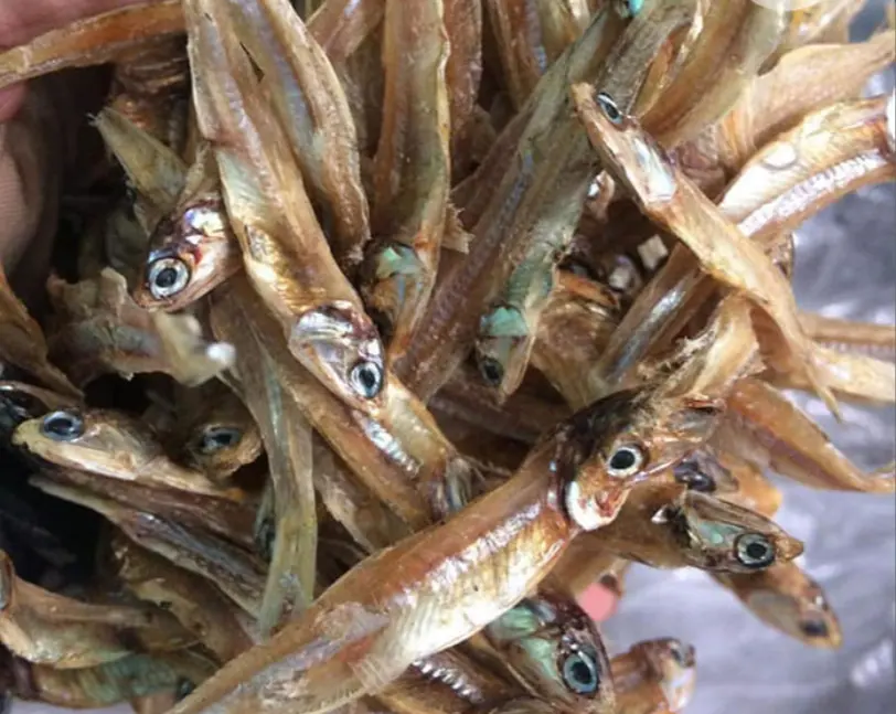 Dried Fish Anchovy Anchovies Dried Seafood From Vietnam New Season Dry Anchovy Fish for Eu market