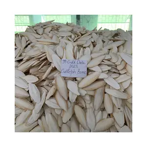 Сушеный минерал для костей морской рыбы для птиц и рептилий, пищевая продукция для птиц, чистый корм для костей, корм для животных из Вьетнама, Ossa, сепия