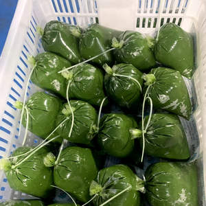 Hoja de yuca congelada IQF picada para servicio de comida y fábricas de comida preparada Hojas tropicales de alto grado Fuente de Vietnam - Product Image 3