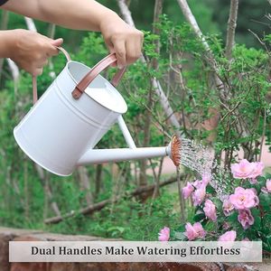 Perfect Pour Elegantes regaderas para sus plantas Nutre la naturaleza: regaderas esenciales para verduras saludables - Product Image 4
