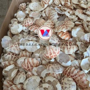 Fabricant vietnamien de poudre et de farine de coquille de crabe séchée - Product Image 1