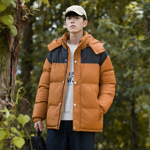 Veste matelassée d'hiver à capuche, imperméable et coupe-vent, avec fermeture éclair, épaisse, personnalisable avec logo, vente chaude 2025 - Product Image 2