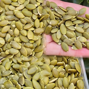 Graines de <span class=keywords><strong>citrouille</strong></span> décortiquées séchées crues biologiques, collation saine - Product Image 3