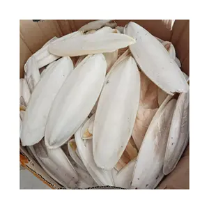 Dried Cuttlebone For Birds High Quality Cuttlefish Bone For Animal Feed Natural White Ossa Sepia Trimmed /MS. ELYSIA (+84 89 931