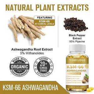 Servicio de fabricación OEM Suplemento de hierbas Extracto de raíz de Ashwagandha Cápsulas blandas Apoya la claridad mental Estamina y el refuerzo de energía - Product Image 4