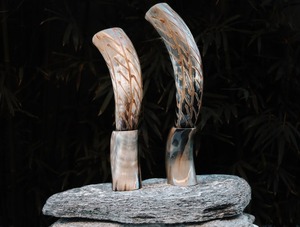 Corne à boire de style animal au design authentique avec support pour la décoration de la maison par Tayyab Handicrafts - Product Image 5