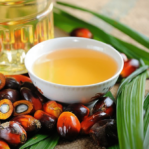 Aceite de Batana Orgánico de la India para el Cuidado Capilar al por Mayor 100% Puro y Natural para el Crecimiento del Cabello Nutritivo y Reparador - Product Image 1