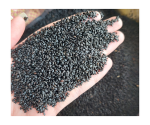 Semilla de albahaca 2024 superventas/alta calidad y precio competitivo de vietnamita lista para ser enviada - Product Image 1