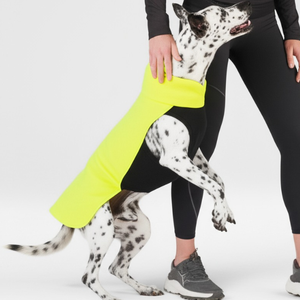 Vêtements OEM pour animaux de compagnie Gilet en polaire doux et chaud Ceinture élastique Expédition rapide Pull d'hiver pour petits chiens Style moderne pour le printemps et l'été - Product Image 5