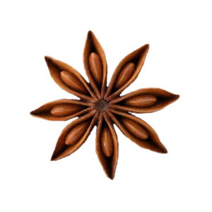 ANIS ÉTOILE ENTIER SÉLECTIONNÉ À LA MAIN POUR DES BESOINS D'INGRÉDIENTS PROPRES - Product Image 6