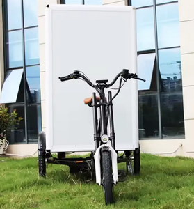 Triciclo Eléctrico de Carga Pesada de 3 Ruedas, Listo para Enviar, Triciclo Eléctrico de Carga Plana - Product Image 1