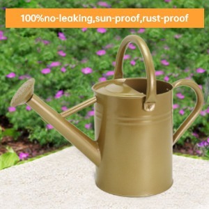 Arrosoir pour plantes d'extérieur n Arrosoir pour plantes en métal avec finition jaune de jardinage en acier détachable - Product Image 4