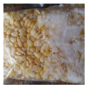 Maíz dulce congelado-Calidad Premium de Vietnam para la cocina diaria y la preparación de comidas masivas-Por 99 Gold Data - Product Image 4