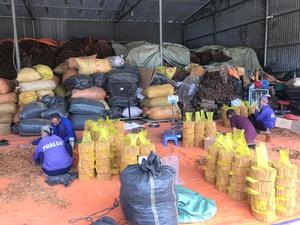 ม้วนแท่งอบเชยคาสเซียในราคาที่ดีที่สุดส่งตรงจากโรงงานเครื่องเทศและสมุนไพรชั้นนำของเวียดนาม - Product Image 6