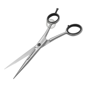 Tijeras de peluquería profesionales de acero inoxidable, el mejor Color plateado, 5,5 pulgadas - Product Image 1