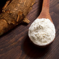 Poudre de farine de tapioca vietnamien de haute qualité 100% naturel pur polyvalent sain pour la transformation des aliments qualité d'exportation boîte de 50kg