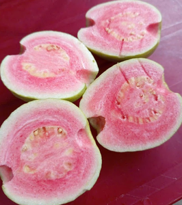 Gros morceaux et tranches de goyave congelés | Prix compétitif, fournisseur fiable | Bon idéal pour les fruits frais du Vietnam - Product Image 1