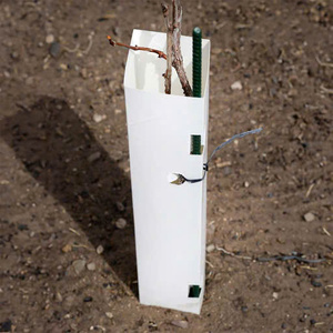 Vietnamese Corrugated <b>Plastic</b> Rolls Effective for Plant Care PP Material Agriculture Products - Product Image 3