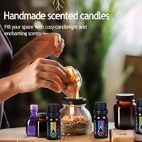 Ensemble d'huiles essentielles OEM, huiles végétales biologiques, mélange de parfums naturels sucrés, prêt à diffuser, ensemble cadeau d'aromathérapie, 6/8/10/12/16/18/20 pièces