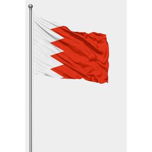 Drapeau personnalisé pour Bahreïn, fanion d'extérieur avec impression numérique, mât en aluminium, matériaux en soie, coton, nylon, plastique, logo personnalisé - Product Image 1