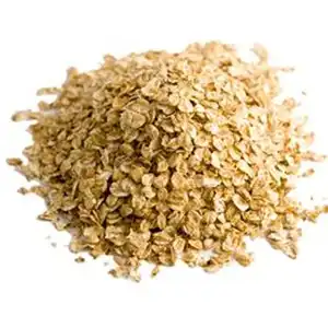 Barley Grains Premium Barley Seeds/Animal feed barley/bulk barley grains Malted Barley Malt grain for sale best Grade