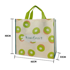 Bolsa de Compras de Tela No Tejida con Cierre de Gancho y Bucle y Asa de Cinta de Polipropileno - Product Image 6