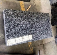 Chinois le moins cher nouveau G654 carreaux de contremarche d'escalier en granit gris foncé