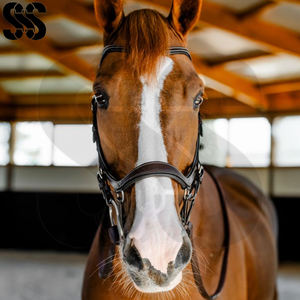 Brida para Caballo Duradera, Totalmente Personalizable, Ajustable, de Alta Calidad, Cuero Suave, Acolchado Suave, Herrajes de Acero Inoxidable, Colores Personalizados - Product Image 2