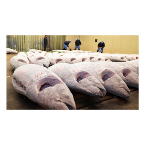 Venta al por Mayor de Atún Amarillo Congelado de Alta Calidad, Grado A, Proceso FD, 5% de Humedad, Bajo en Carbohidratos y Libre de Grasas Trans, para Canales de Comercio Minorista - Product Image 1
