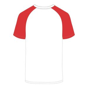 Sensibilisation à l'autisme Chenille broderie blanc manches raglan t-shirt unisexe 100 coton Jersey soutien autisme Puzzle Design - Product Image 3