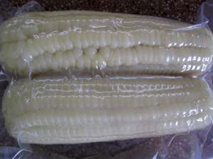 Grossiste en maïs bouilli à bon prix Maïs surgelé bouilli Maïs entier du Vietnam - Product Image 2