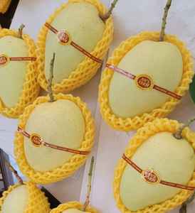 Sweet Mango <b>Fruit</b> Vietnam Export Quality Tropical Mango Supplier <b>Fresh</b> Mango Packing Bulk Wholesale For International Export - Product Image 6