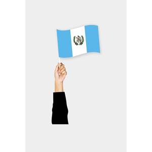Bandera de Mano de Guatemala con Logotipo Personalizado, Impresión Digital, Banderas de Plástico, Poliéster y Seda para Automoción, Seguros, Educación, Agencia de Viajes - Product Image 1
