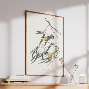 Impression sur toile d'art mural botanique oiseaux et branches, illustration d'histoire naturelle moderne, décoration intérieure, cadre en bois - Product Image 3