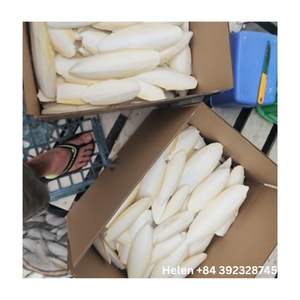 Friandises à mâcher en os de seiche séchées de qualité supérieure pour hamsters, humidité max. 5 %, du Vietnam - Product Image 5