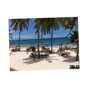 ¡Oferta a precios inmejorables! Grandes cantidades de troncos de Haya para la creación de estructuras de madera Mejores precios disponibles - Product Image 2