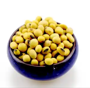 Sprouting and Food Grade Yellow Soybeans / Top Quality Dried Soya Beans Non - gmo Soybeans