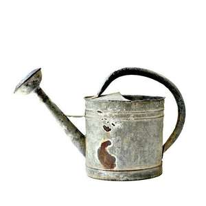 Regadera de Latón Galvanizado de Diseño Real, Acabado Plateado, Mango de Metal de Alta Calidad, para Uso en Interiores y Balcones, Gran Capacidad - Product Image 6