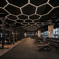 Sistema Modular Hexagonal para Gimnasio Moderno, Diseño Estético, Decoración de Iluminación Interior para Estudio de Fitness - 10