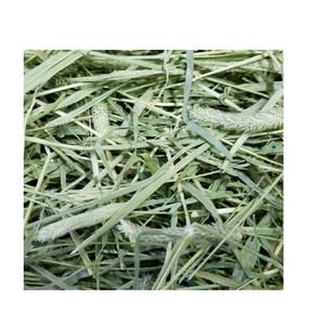 Foin de Timothy de qualité supérieure, grade A, pour chevaux et bovins, origine américaine, emballage en vrac - Product Image 1