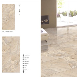 Carreaux de sol et de mur en porcelaine polie haute brillance Spider Natural 600x1200mm Inde Moderne - Product Image 1