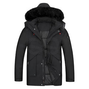 Parka d'automne chaude pour homme, résistante à l'eau, avec col montant, capuche amovible, garniture en fausse fourrure, longueur standard, style urbain - Product Image 1