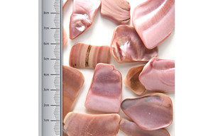 Pezzi di Conchiglia Naturale Lucidati Stile Animale per Artigianato, Frammenti di Conchiglie Naturali per Mosaici in Resina e Creazione di Gioielli - Product Image 4