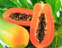 Papaja Crème Export Uit Vietnam Met Hoge Kwaliteit En Verse Papaja Concurrerende Prijs